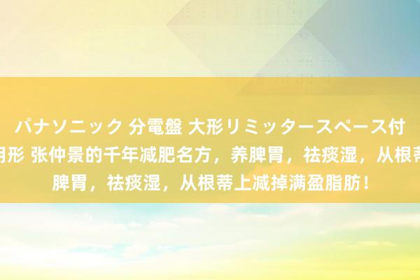 パナソニック 分電盤 大形リミッタースペース付 露出・半埋込両用形 张仲景的千年减肥名方，养脾胃，祛痰湿，从根蒂上减掉满盈脂肪！