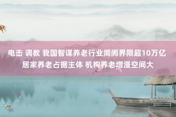 电击 调教 我国智谋养老行业阛阓界限超10万亿 居家养老占据主体 机构养老增漫空间大