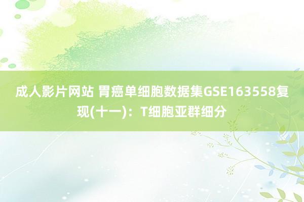 成人影片网站 胃癌单细胞数据集GSE163558复现(十一)：T细胞亚群细分