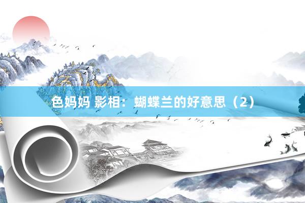 色妈妈 影相：蝴蝶兰的好意思（2）