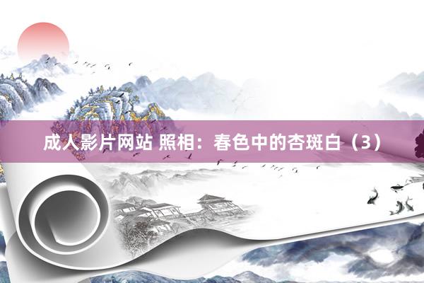 成人影片网站 照相：春色中的杏斑白（3）