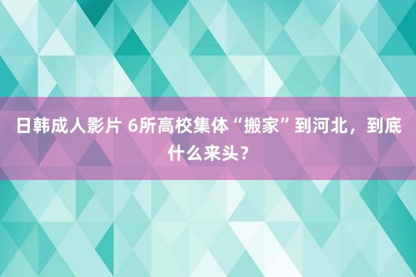 日韩成人影片 6所高校集体“搬家”到河北，到底什么来头？