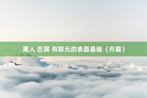 黑人 巨屌 有限元的表面基础（开篇）