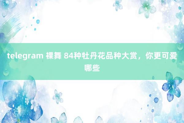 telegram 裸舞 84种牡丹花品种大赏，你更可爱哪些